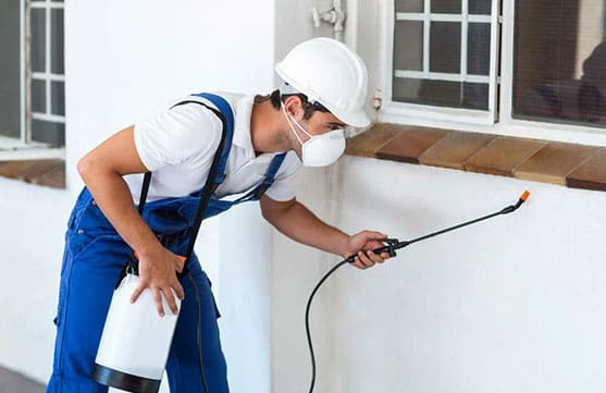 Local pest control technician